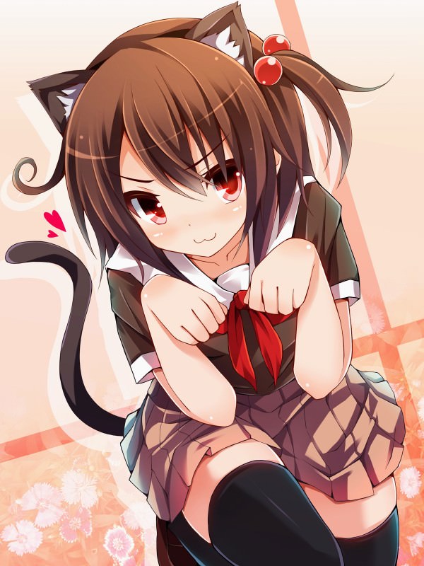  ,  ,    ,      .       ,       